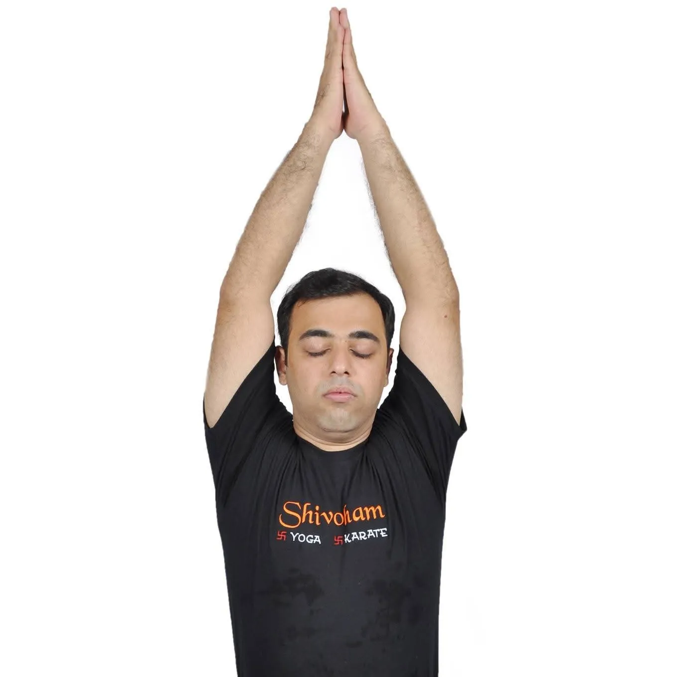 Brahmi Script Course by Mayur Gurikar